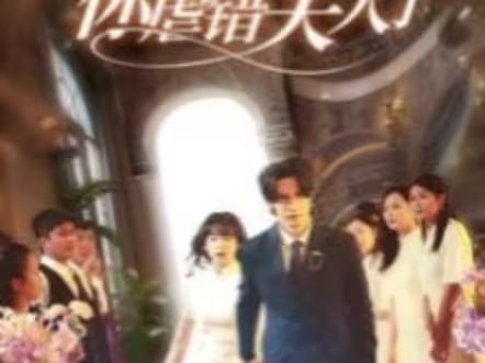 陸總住手吧，你虐錯(cuò)夫人了(全集)