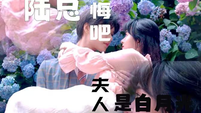 陸總懺悔吧，夫人才是白月光(全集)