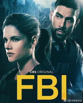 聯(lián)邦調查局第五季
