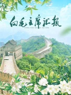 向毛主席匯報(bào)(全集)