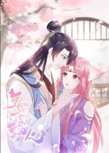 狐妃，別惹火