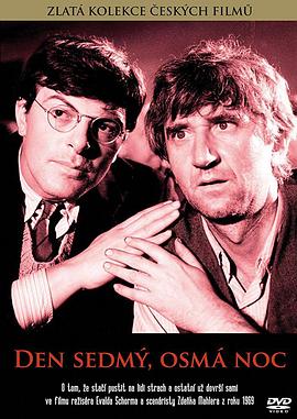 第七日，第八夜