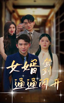 女婿駕到，通通閃開(全集)