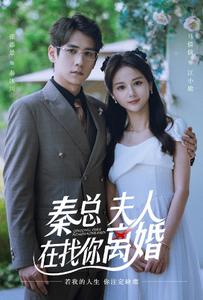 秦總，夫人在找你離婚(全集)