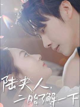 陸夫人，二胎了解一下(全集)