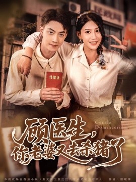 顧醫(yī)生，你老婆又去殺豬了(全集)