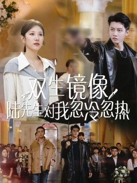 雙生鏡像陸先生對我忽冷忽熱(全集)