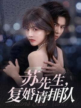 蘇先生，復(fù)婚請排隊(全集)