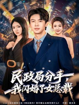 民政局分手，我閃婚了女總裁(全集)