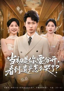 當(dāng)初是你要分開，看到遺產(chǎn)怎么哭了？(全集)