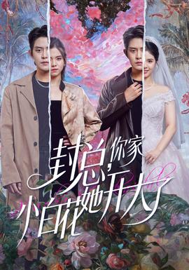 封總，你家小白花她開(kāi)大了(全集)