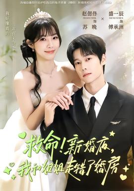 救命！新婚夜，我和姐姐走錯(cuò)了婚房(全集)