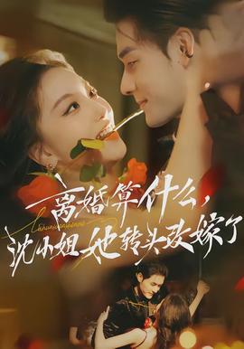 離婚算什么，沈小姐她轉(zhuǎn)頭改嫁了(全集)