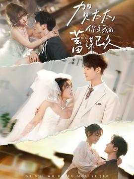 賀太太，你是我的蓄謀已久(全集)