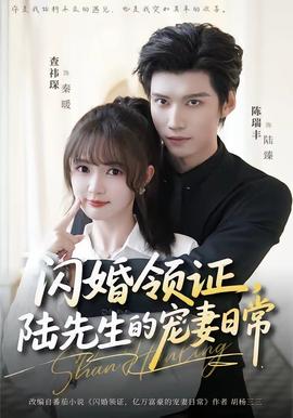 閃婚領(lǐng)證，陸先生的寵妻日常(全集)